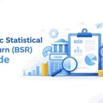Basic Statistical Return (BSR) Code